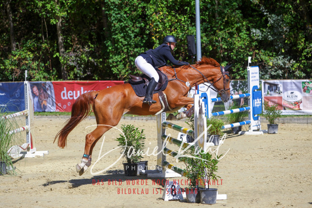 DKP43192 | Deine Turnierfotos vom Reitturnier online kaufen: Dressur, Springen & Siegerehrung. Professionelle Pferdefotografie aus dem Rheinland – als Download & Print.Alternative: Turnierfotograf für den Pferdesport: Finde deine Fotos von Dressur- und Springturnier