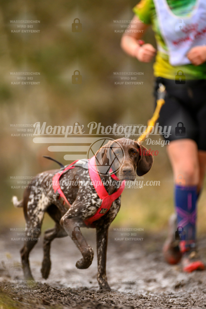 MompixPhotography_CDSM24_SA_CCS-233 | PayLife