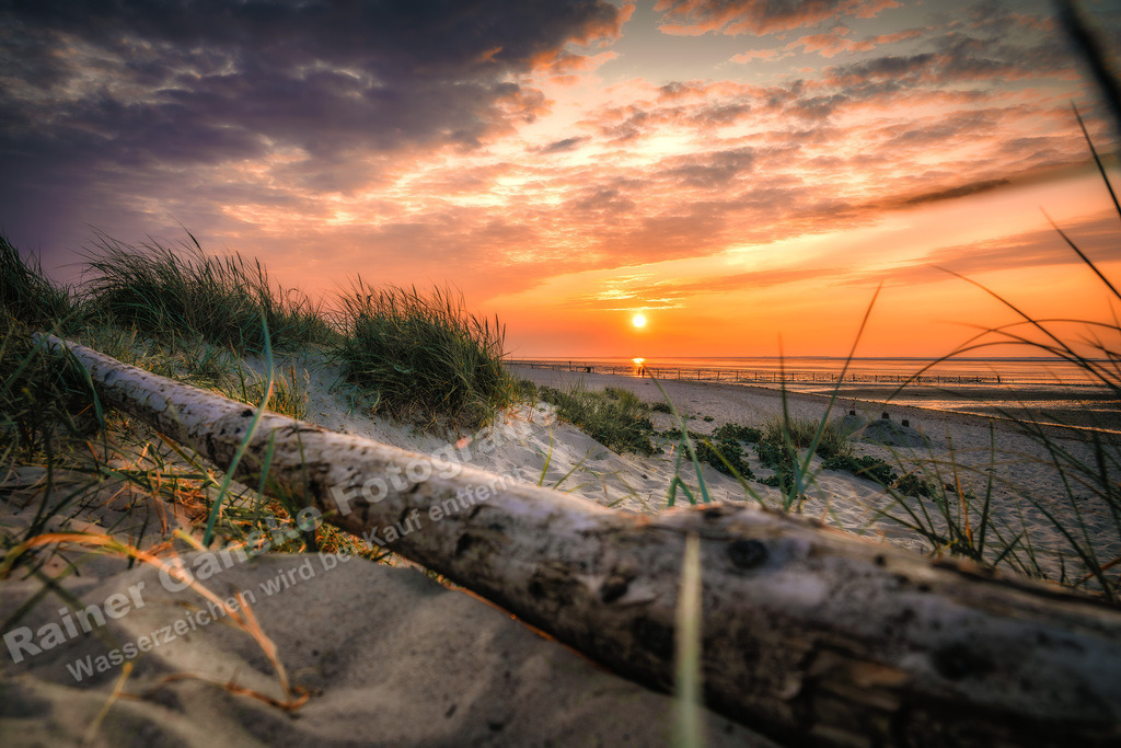 053 Schillig - 18-06-2023 -R Ganske.jpg | Rainer Ganske, www.RainerGanskeFotografie.de, www.RainerGanskeShop.de - Realisiert mit Pictrs.com