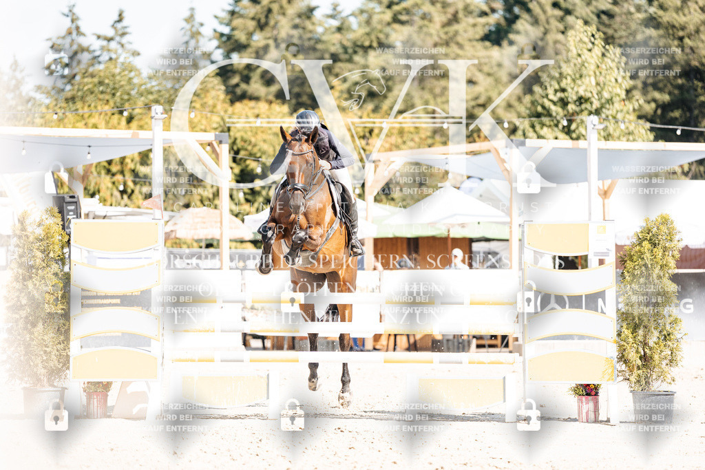 CK902670 | Turnierfotografie Pferdefotografie Trier Rheinland-Pfalz Pferdesport Reitsport Tierfotografie Sportfotografie Pferdevideo Pferdevideografie Equestrianvideography equestrianphotography  - Realisiert mit Pictrs.com