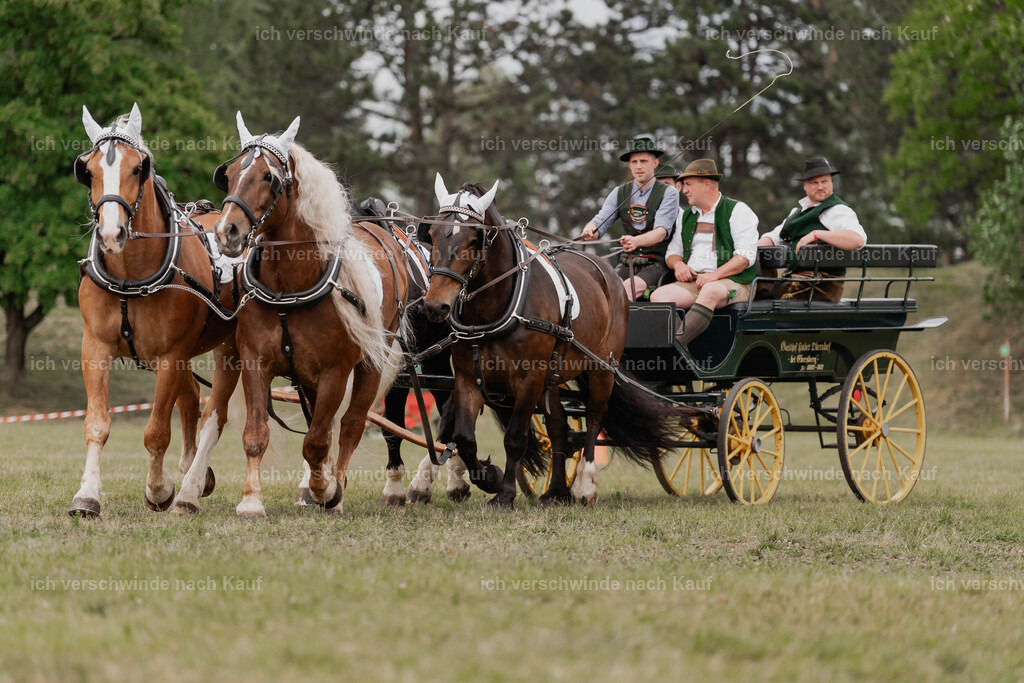 Showprogramm-364 | working equitationturnier fotograf videograf stoibphotography marixx film working equitation deutschland reitsport turnierfotografie eventfotografie equestrian events
