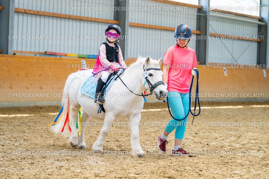 DSC09813 | Pferdegrafie