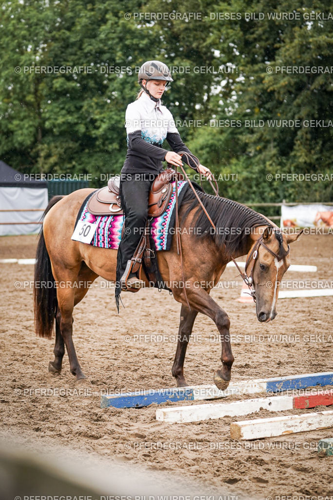 DSC04562 | Pferdegrafie