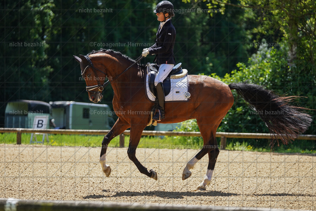 20240705-FAH03499 | Turnierbilder von Grafing, Reitsportbilder, Turnierfotos, Turnierfotografen Bayern, Pferdefotograf, Fotoagentur Herrmann