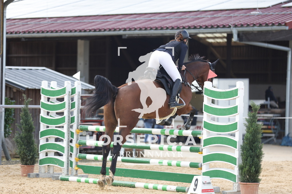 0P6A4238 | Willkommen bei Brunnmayr - Design & Fotografie – Ihrem Spezialisten für Reitturniere und Pferdeveranstaltungen in Oberösterreich, Salzburg und Bayern! Seit über 17 Jahren sind wir leidenschaftlich dabei.