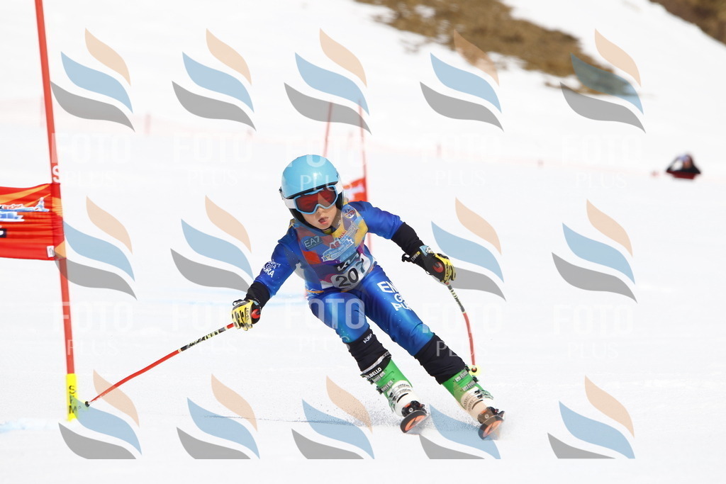 _U3G5370 | holidayphoto