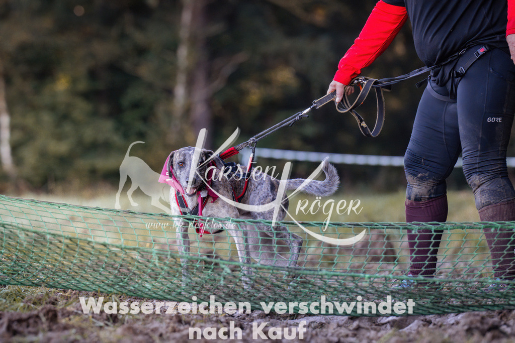 1021_ZZ90939 | kk-dogfotos