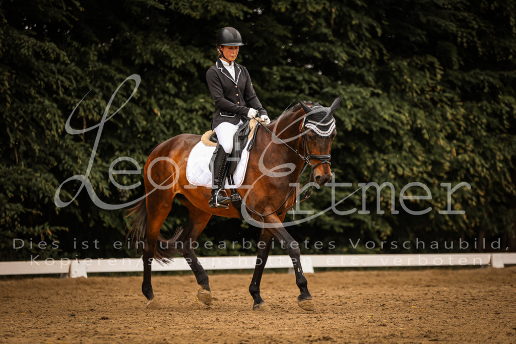 DoDrWB00078 | Leoni Ertmer Photography - Realisiert mit Pictrs.com