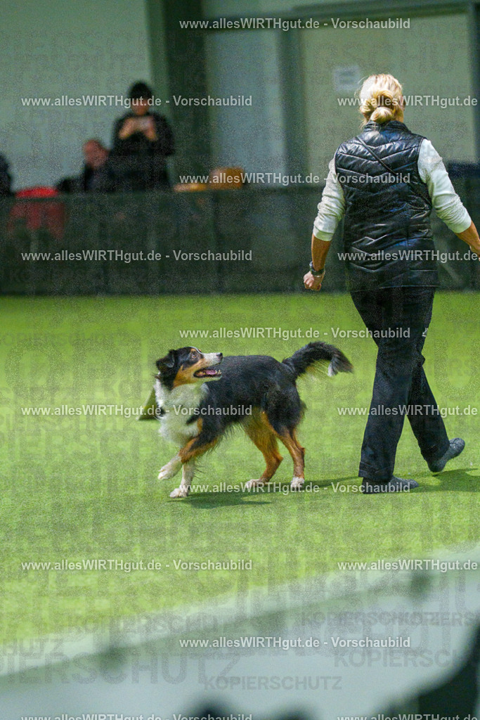 7R507575 | Professionelle Tierfotografie in Mönchengladbach von Daniel Wirth (allesWIRTHgut). Liebevolle & natürliche Bilder von Hunden & Katzen für unvergessliche Erinnerungen.