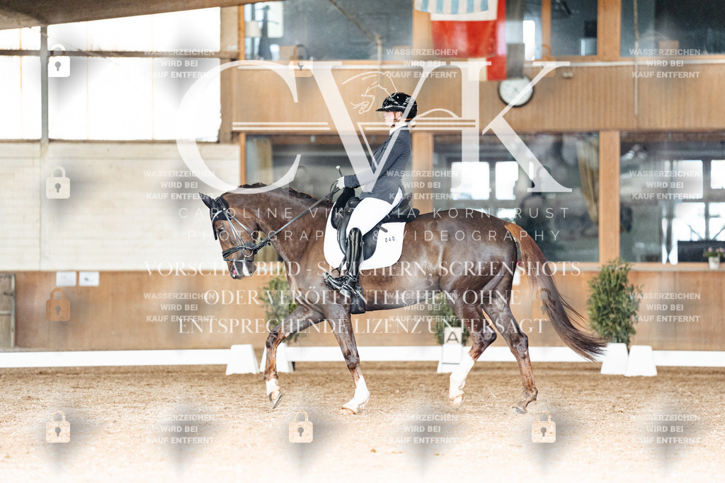 CK902714 | Turnierfotografie Pferdefotografie Trier Rheinland-Pfalz Pferdesport Reitsport Tierfotografie Sportfotografie Pferdevideo Pferdevideografie Equestrianvideography equestrianphotography  - Realisiert mit Pictrs.com