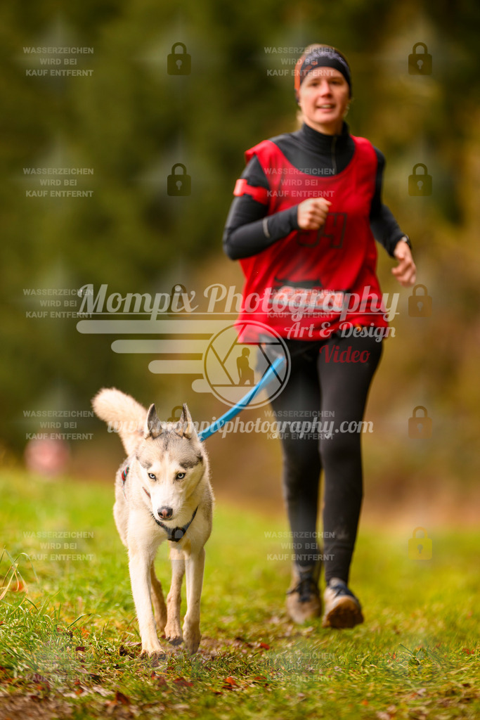 MompixPhotography_2SSTSSBW_2025_SO_Canicross-25 | PayLife