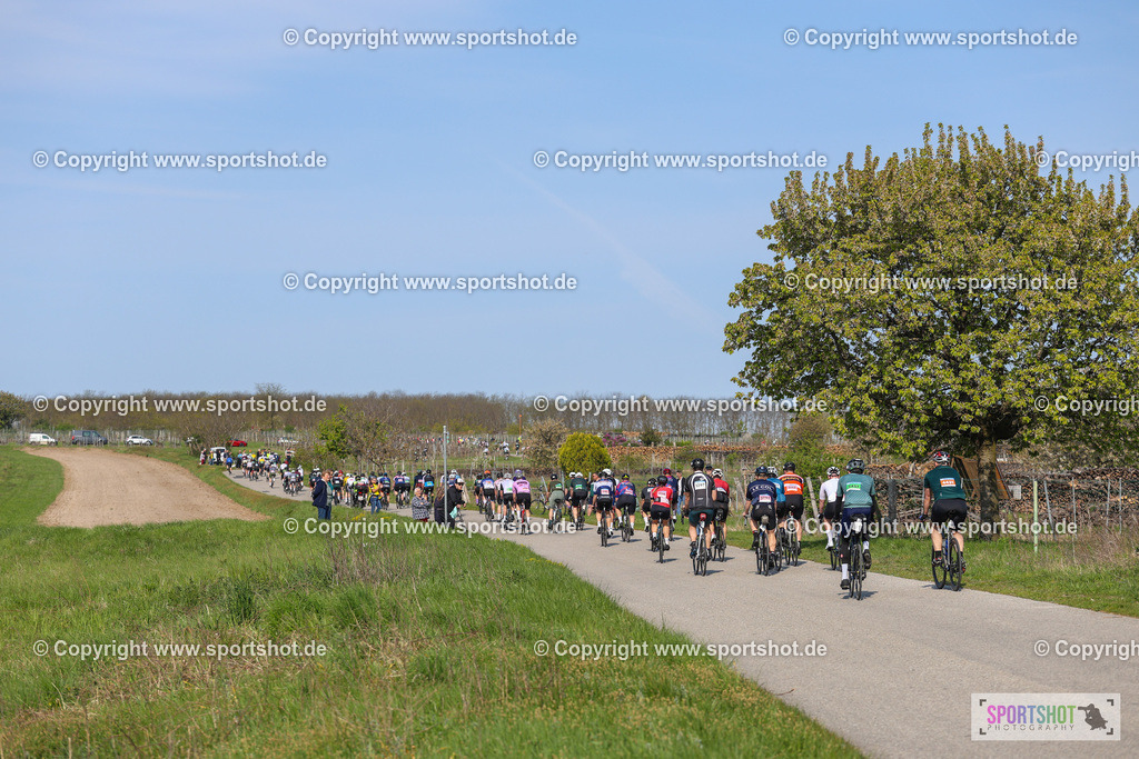 IMG_1213 | @sportshot_your_pictrs #yourpictures#roadtowm2029 #nrm #neusiedlerseeradmarathon #neusiedlersee #neusiedlerseetourismus #burgenland #mörbisch #nrm26 #burgenlandtourismus #voglundco #poweredbyburgenlandtourismus #radsport #rad #marathon #ucigranfondo #visitburgenland #ucigranfondoworldseries