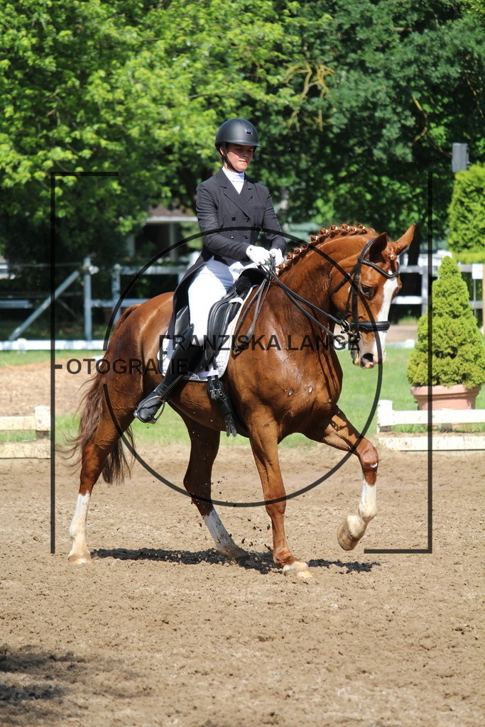 IMG_7154 | franziskalange - Realisiert mit Pictrs.com