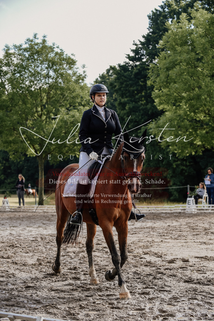 DSC_9023 | Pferde- und Turnierfotografie in Westsachsen. Pferdeportraits, Auftragszeichnungen und intuitive Kunst.