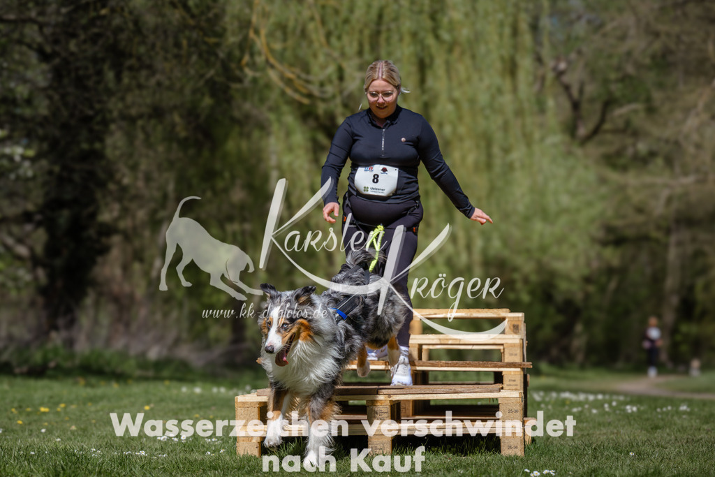 1236_ZZ92682 | kk-dogfotos