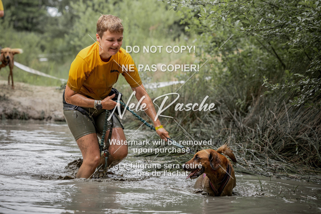 nelerasche_so1000-1030_33 | nelerasche