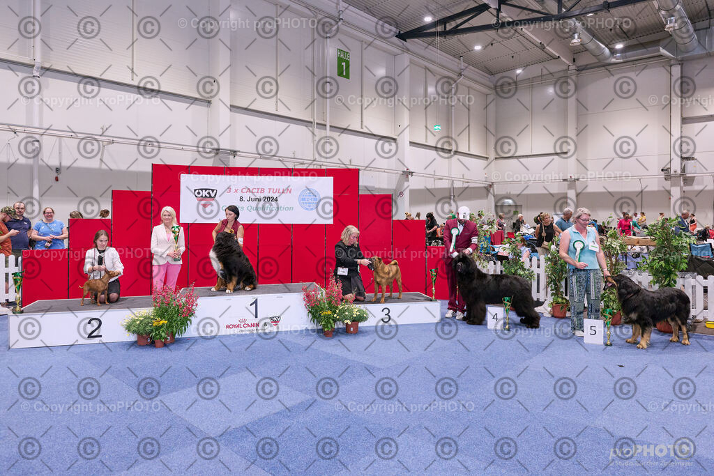 202406_ÖKV-IHA-Tulln24_NZ9_8660 | proPHOTO - Realisiert mit Pictrs.com