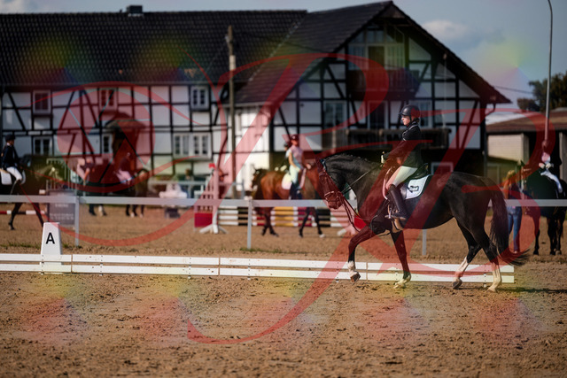 2026_10_03_Siefer-Hof_121445_Z63_39966252 | Professionelle Reitsport-, Turnier- und Eventfotografie von Robert Broda. Galerien mit ausgewählten und bearbeiteten Bildern direkt online ansehen und bestellen.