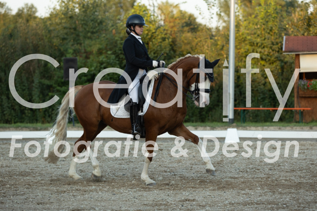 IMG_7589 | Creatify Fotografie