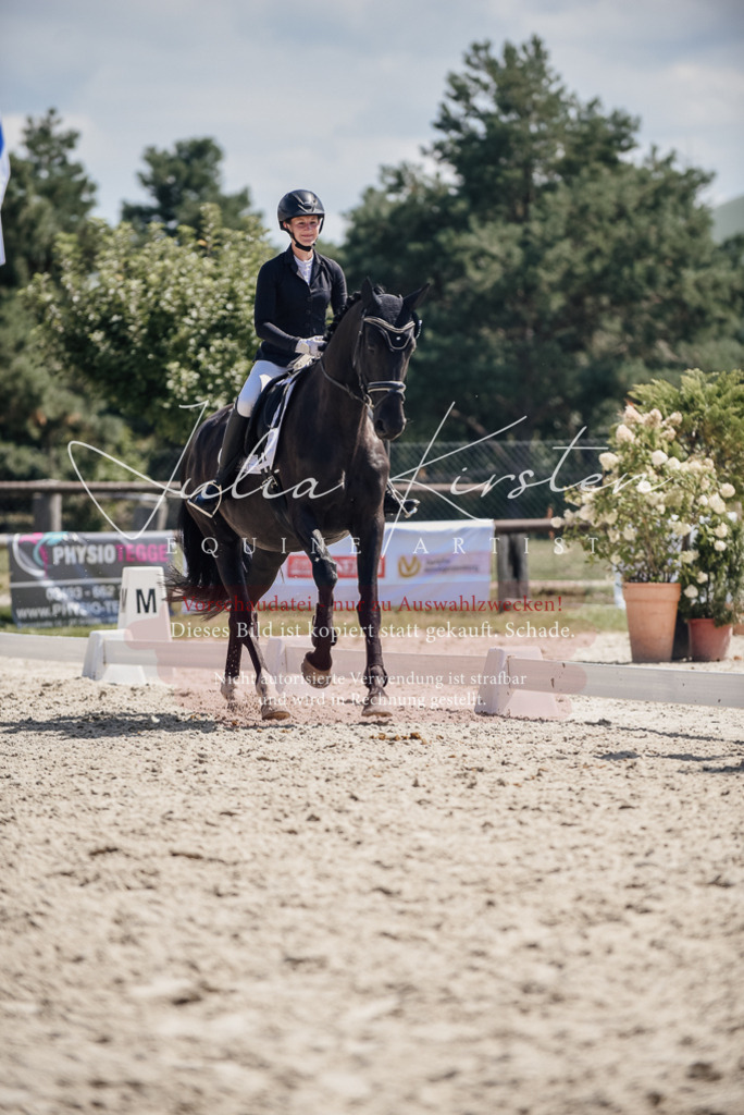 DSC_8821 | Pferde- und Turnierfotografie in Westsachsen. Pferdeportraits, Auftragszeichnungen und intuitive Kunst.