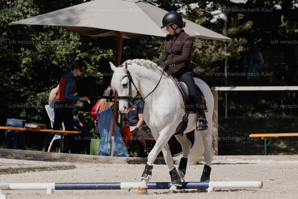 WE_ST_Stoib_318_PI2025_955 | Pferd International München 2025