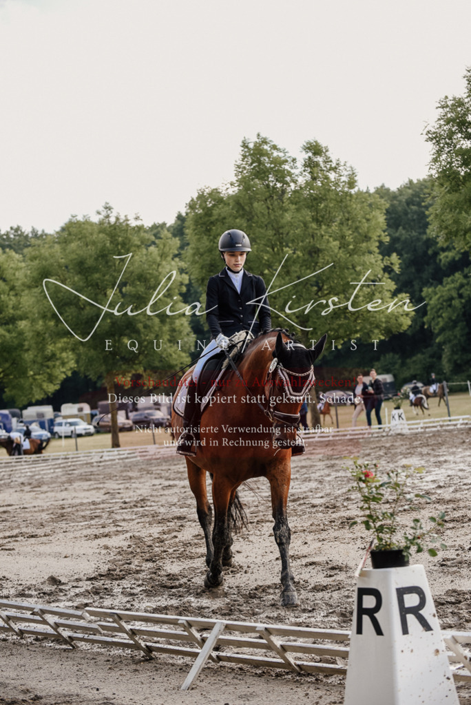 DSC_8178 | Pferde- und Turnierfotografie in Westsachsen. Pferdeportraits, Auftragszeichnungen und intuitive Kunst.