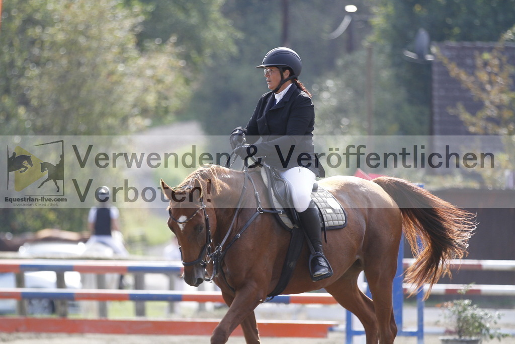 _MG_1271 | equestrian-live-com