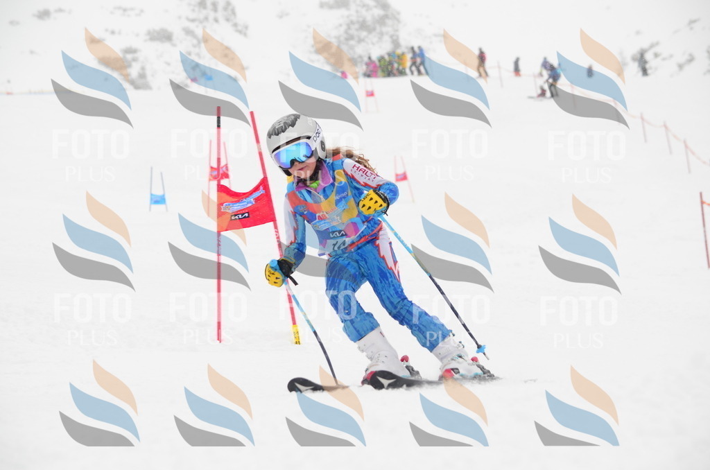 C0626 | holidayphoto