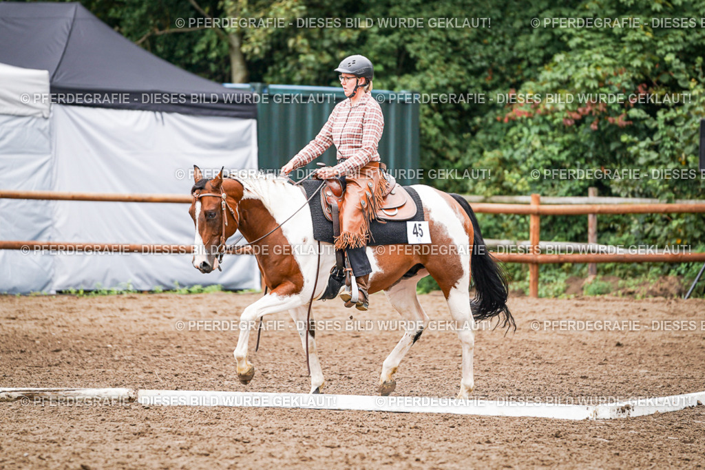 DSC04077 | Pferdegrafie