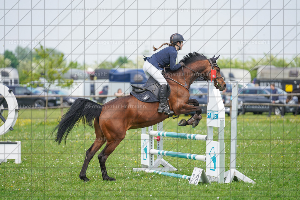 20240509-FAH02742 | Turnierbilder der Turnierfotografen Bayern, Pferdesport Fotografie, Reitsportbilder, Turnier Landberg am Lech, Turnierbilder bayern, Fotoagentur Herrmann