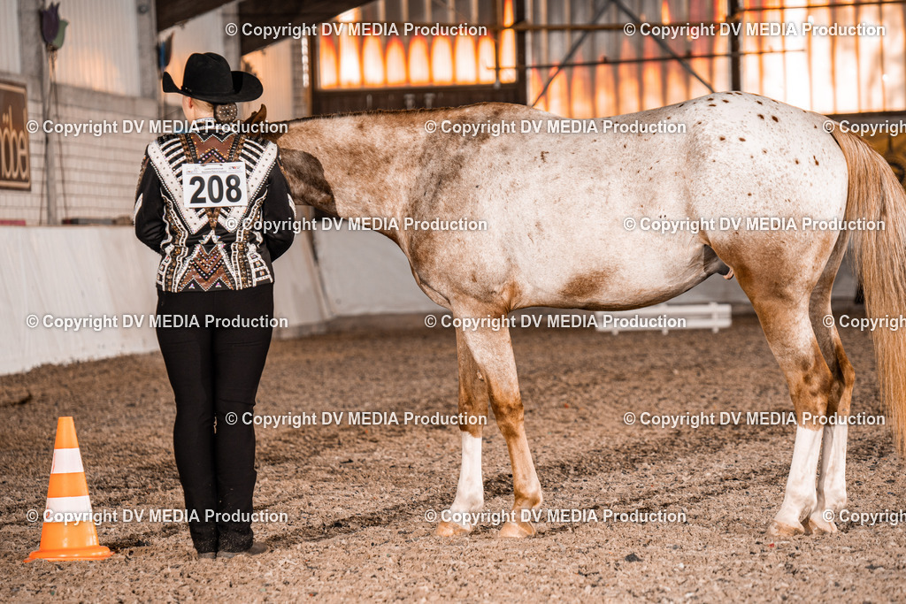 ZH100015 | dv-media-shop - Realisiert mit Pictrs.com