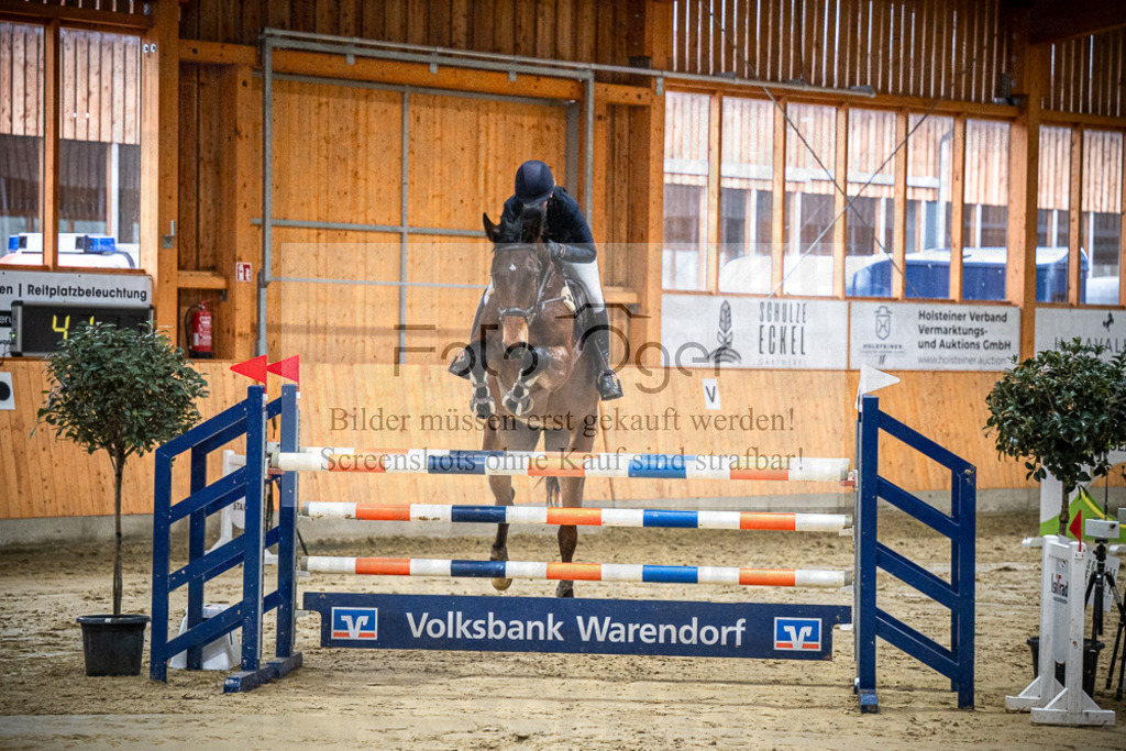 DOS_1746 | Entdecke hochwertige Reitturnierfotos von Foto Oger. Professionell, emotional und authentisch – jetzt Lieblingsmomente im Shop bestellen.Deutschlandweite Turnierfotografie. - Realisiert mit Pictrs.com