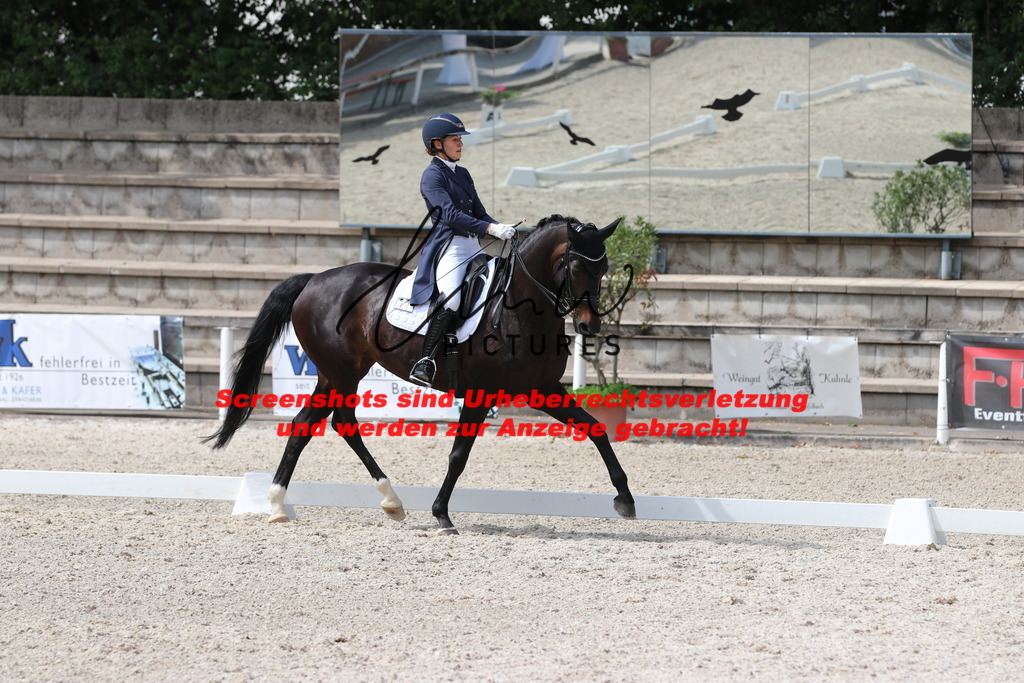 IMG_7159 | lmwpictures - Realisiert mit Pictrs.com