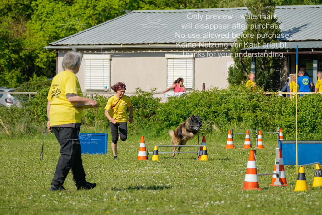 Sa_CSC-266 | stephaniefillaphotographie - Realisiert mit Pictrs.com