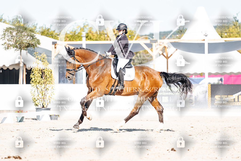 CK907674 | Turnierfotografie Pferdefotografie Trier Rheinland-Pfalz Pferdesport Reitsport Tierfotografie Sportfotografie Pferdevideo Pferdevideografie Equestrianvideography equestrianphotography  - Realisiert mit Pictrs.com