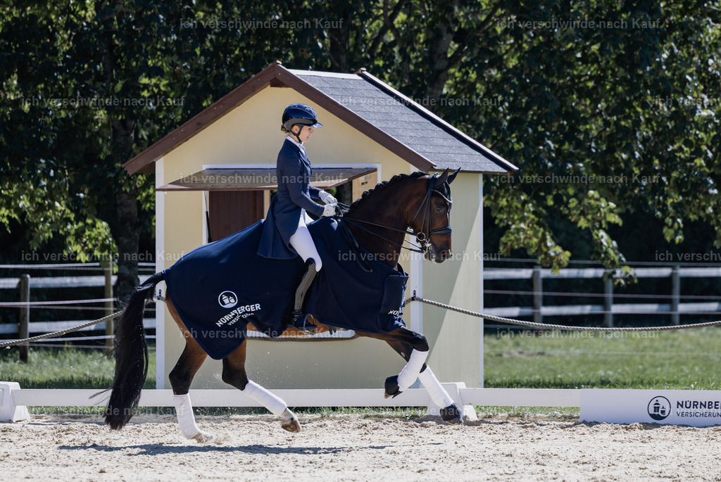 FHC2026_P12_Siegerehrung_19692 | working equitationturnier fotograf videograf stoibphotography marixx film working equitation deutschland reitsport turnierfotografie eventfotografie equestrian events