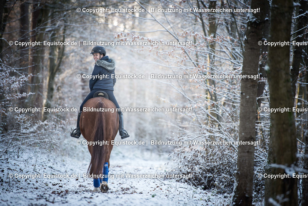 TS_20171201_Winterwald_Fuchs_0001 | Foto: Thomas Hartig