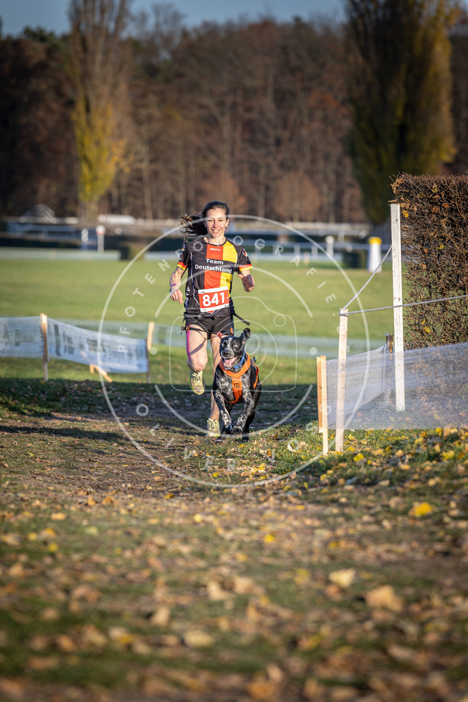 CaniXpix_DV3A3647 | Hundefotografie, Tierfotograf, Pfotenfotografie, Fotoshooting Hund, Hunde Portrait, Hundesport, Hundeportraits, Heideshooting, Hunde, Sportfotograf, Hundefotograf, Turnierhundsport, THS,  - Realisiert mit Pictrs.com