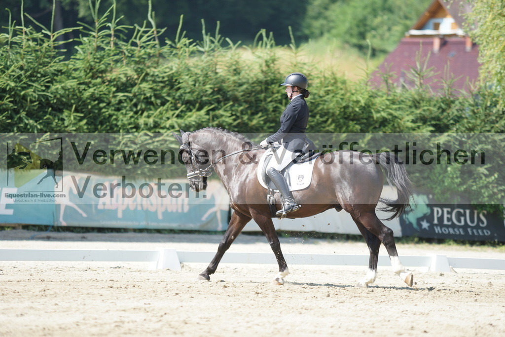 DSC03779 | equestrian-live-com