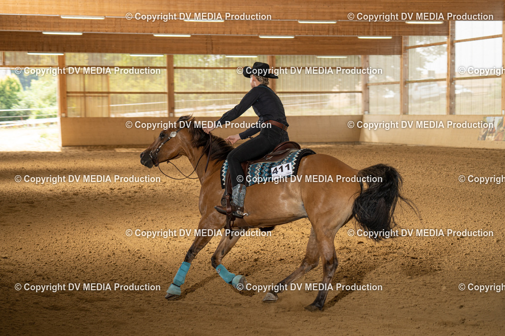 LAU01683 | dv-media-shop - Realisiert mit Pictrs.com