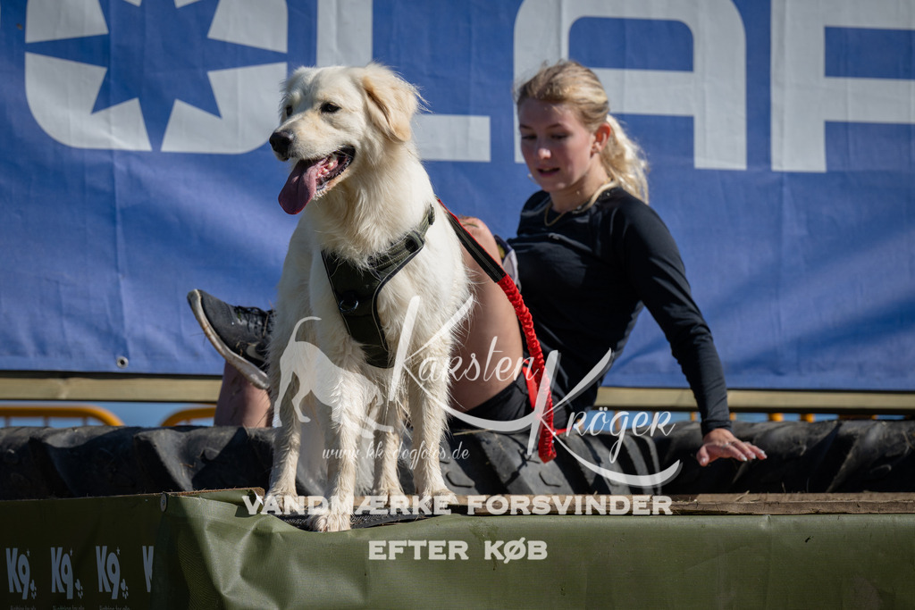1027_ZZ98700 | kk-dogfotos