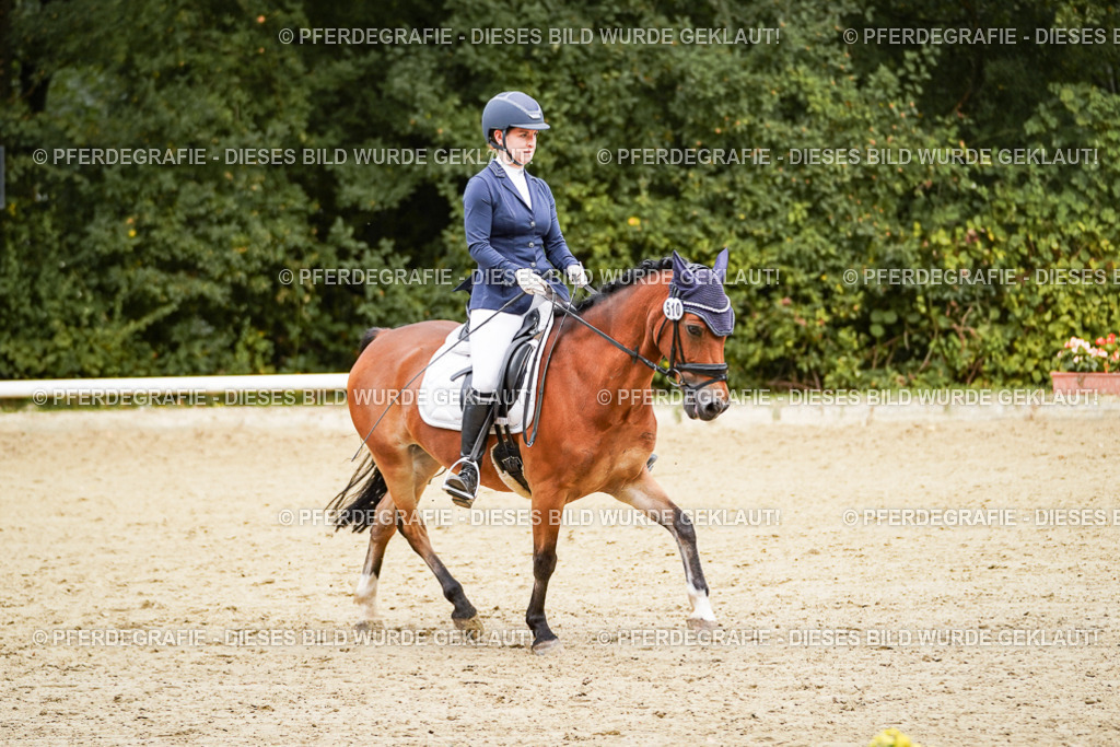 DSC00503 | Pferdegrafie