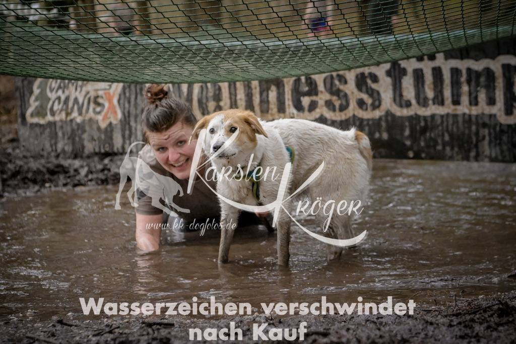 0954_ZZ98681 | kk-dogfotos