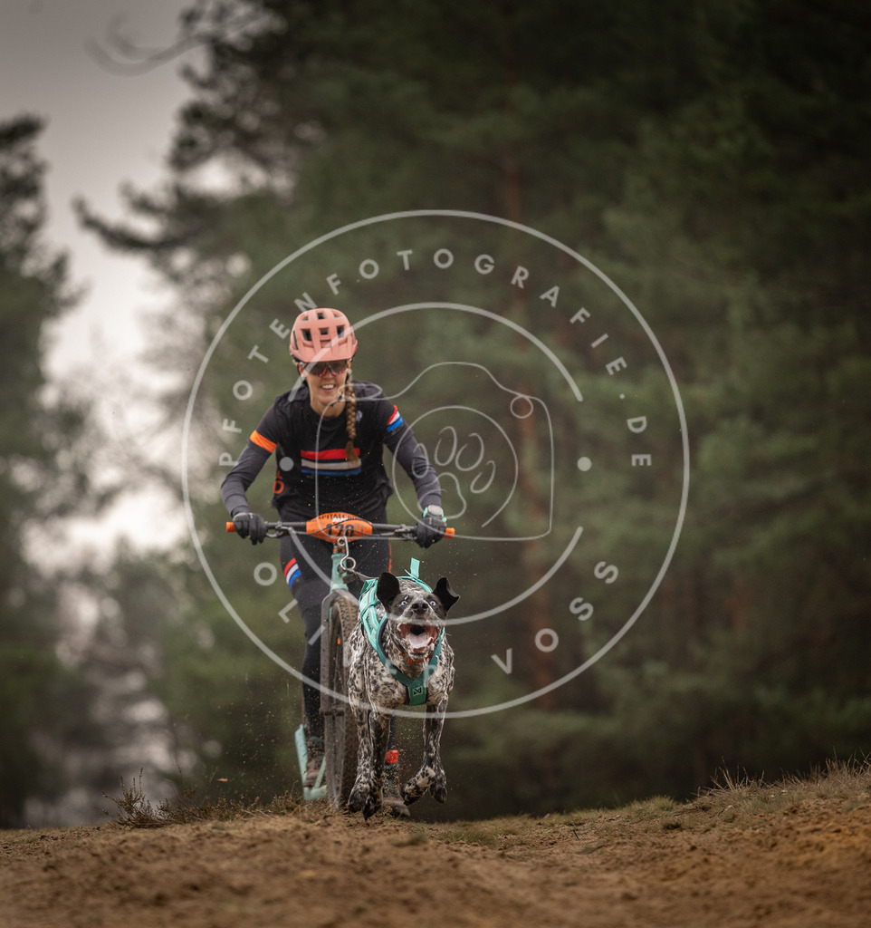 Pfotenfotografie_DV3A4466 | Hundefotografie, Tierfotograf, Pfotenfotografie, Fotoshooting Hund, Hunde Portrait, Hundesport, Hundeportraits, Heideshooting, Hunde, Sportfotograf, Hundefotograf, Turnierhundsport, THS,  - Realisiert mit Pictrs.com