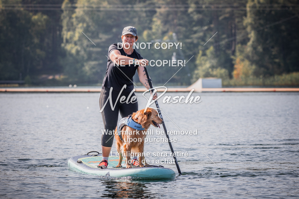 BUHU_SUP_140 | nelerasche