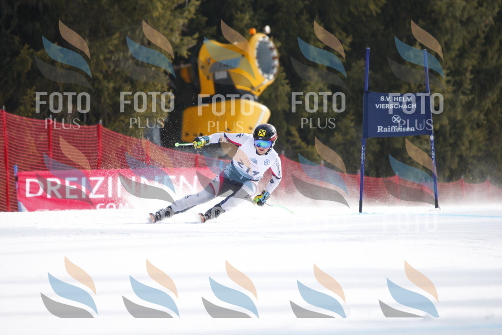 D8389 | holidayphoto