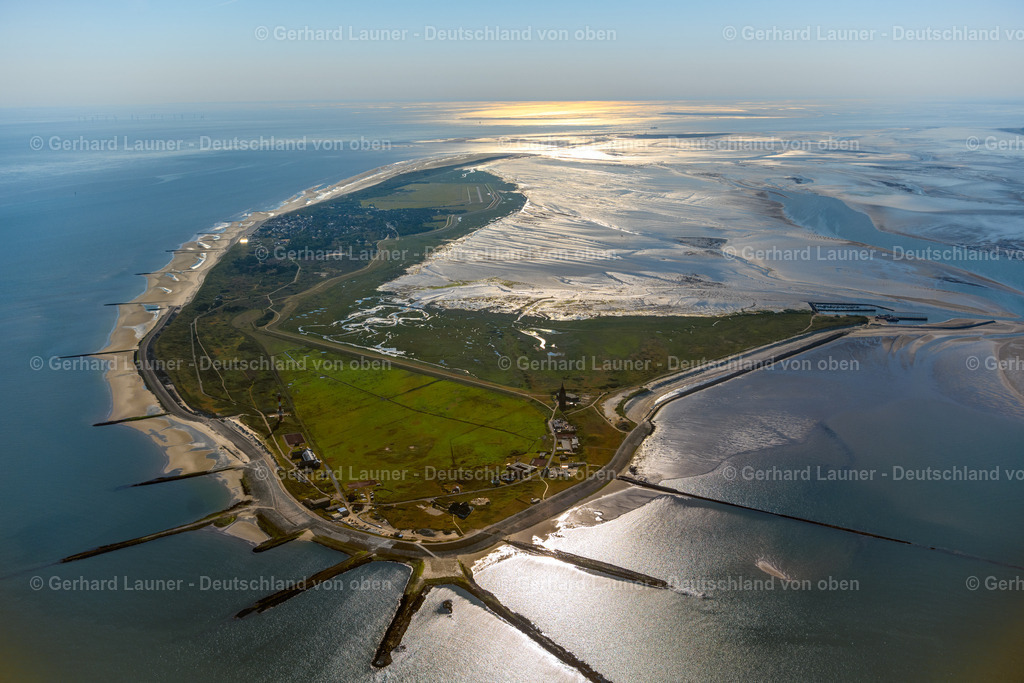 4037080 | Wangerooge Nationalpark Niedersächsisches Wattenmeer