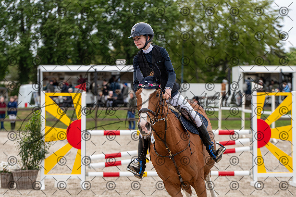 KPT_8441 | andre_photographic