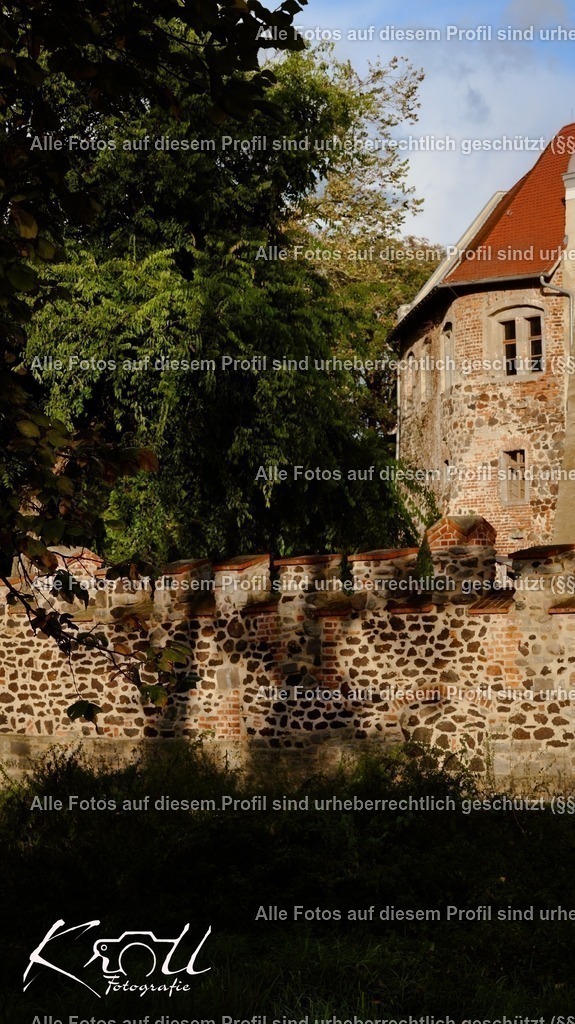 Photo_1727203768665 | krollfotografie - Realisiert mit Pictrs.com