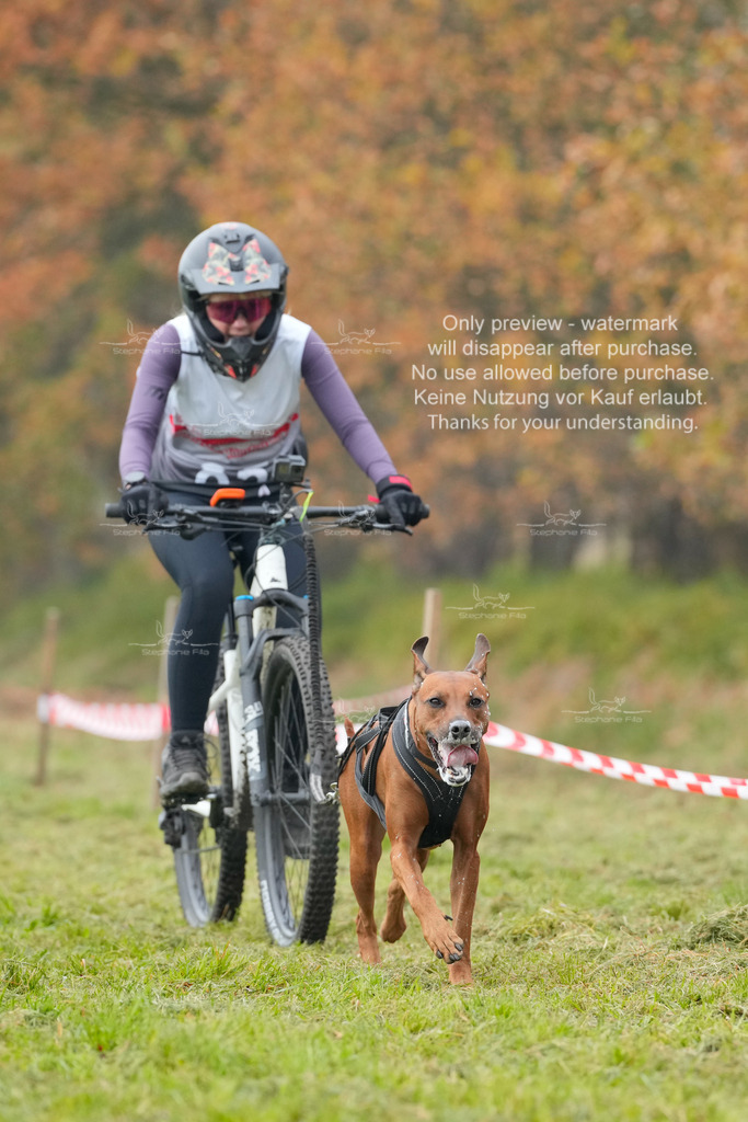 Visbeck_Sa_Bike-287 | stephaniefillaphotographie - Realisiert mit Pictrs.com